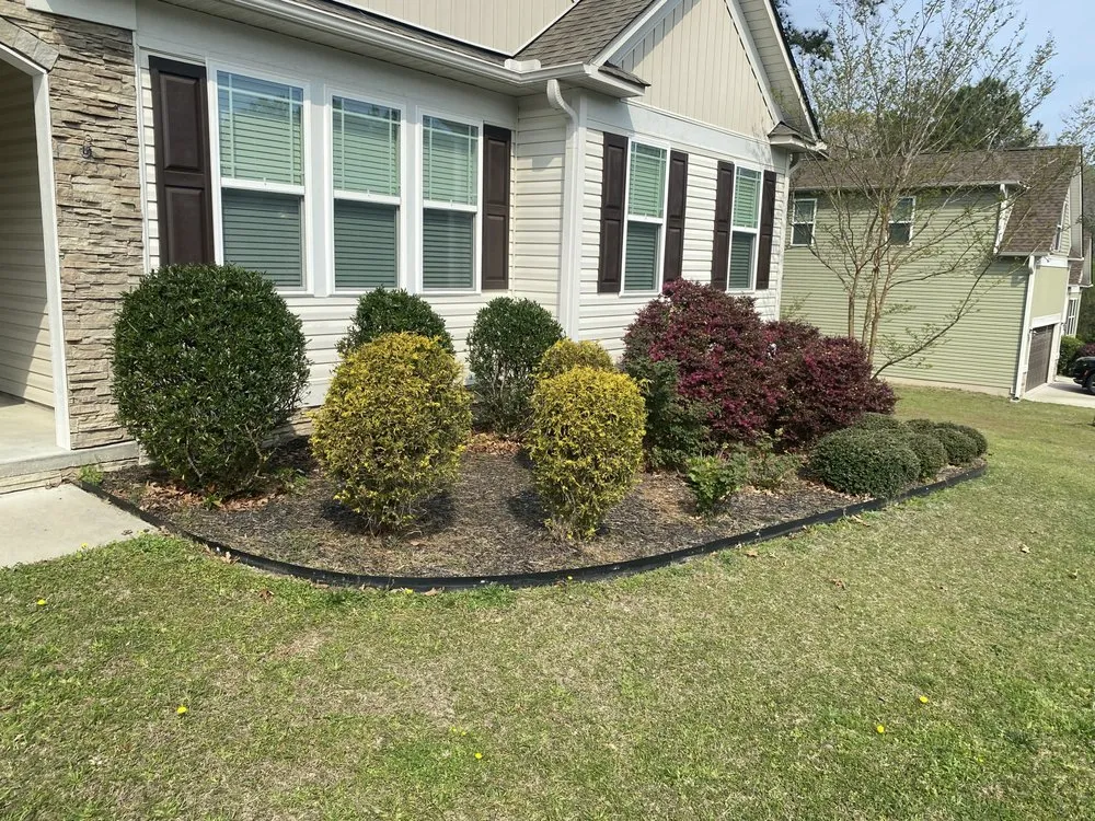 Top-rated landscaping services experts serving Clayton, NC - Carrillo Services