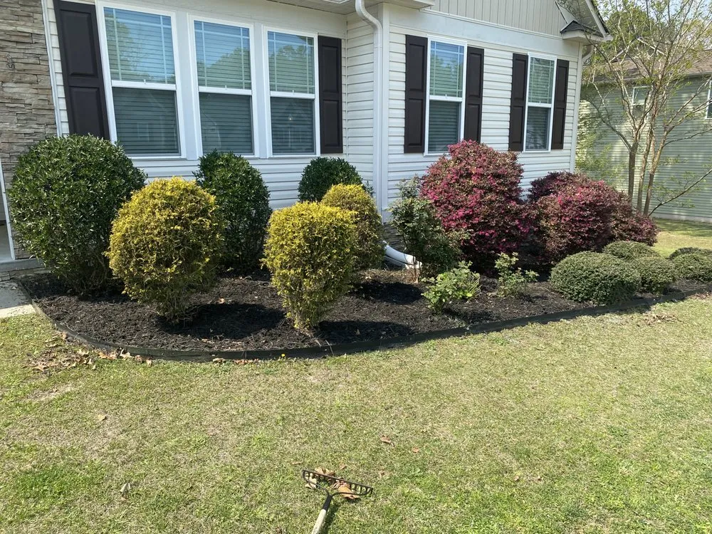 Reliable landscape design for year-round maintenance across Clayton, NC - Carrillo Services