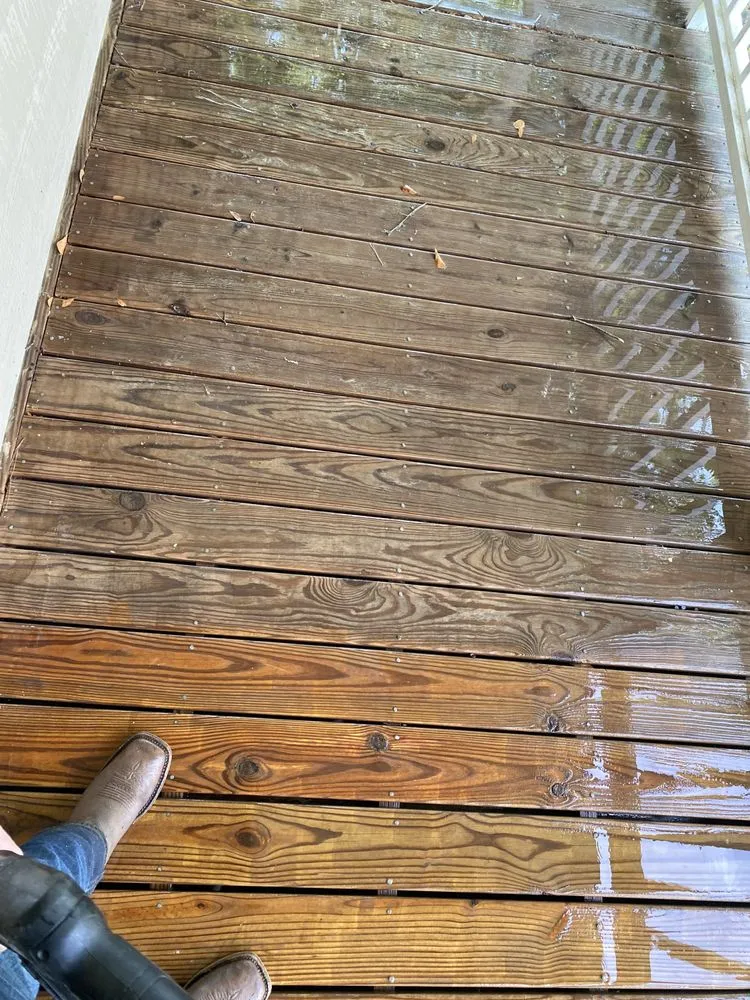 Top-rated landscape installation experts serving Clayton, NC - Carrillo Services