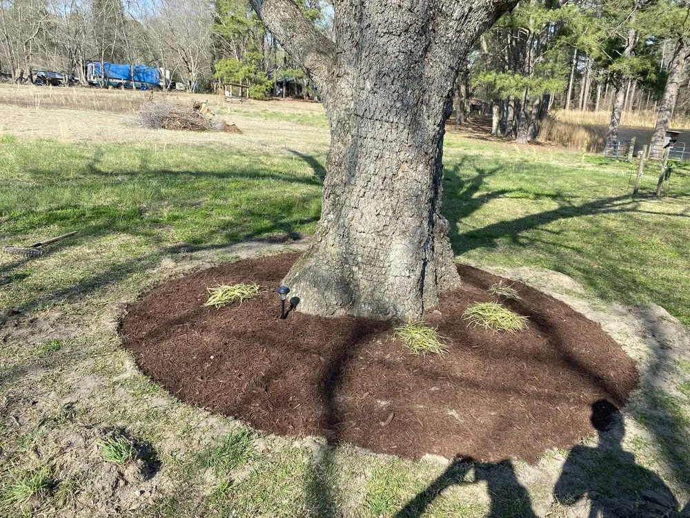 Professional lawn mowing service experts serving Clayton, NC - Carrillo Services