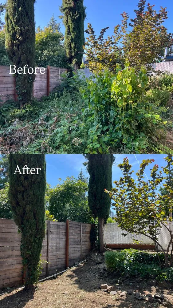 Affordable garden landscaping near you in Medford, OR by Carrillo Woods