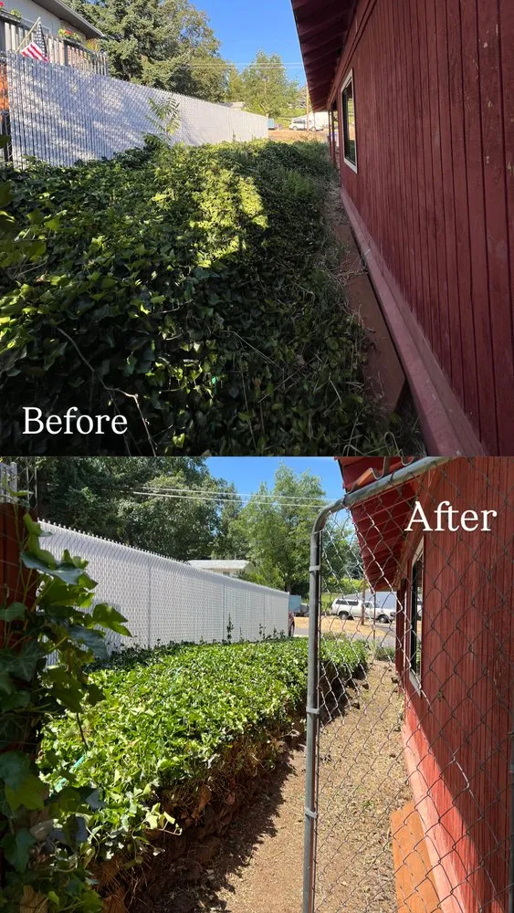 Affordable lawn care service for residential properties in Medford, OR by Carrillo Woods