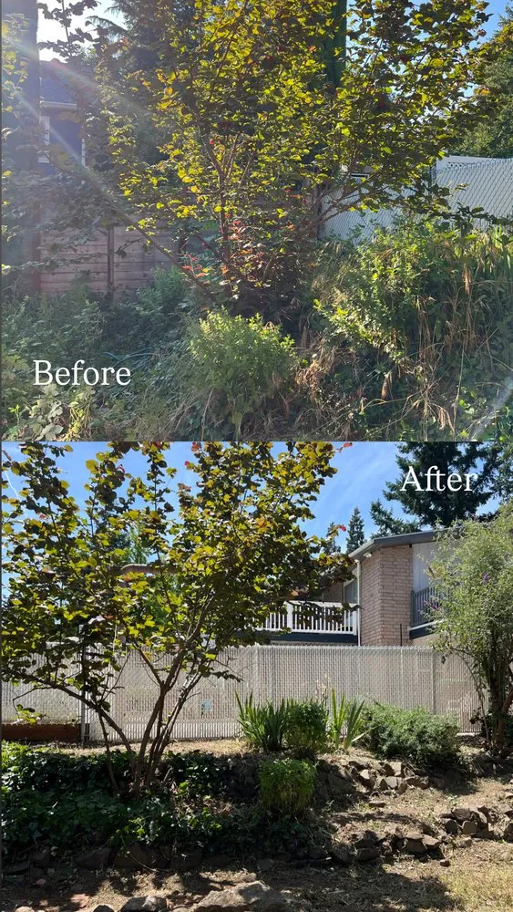 Local landscaping services experts serving Medford, OR - Carrillo Woods