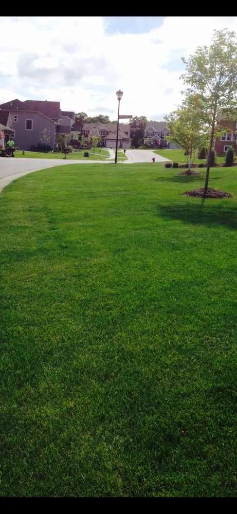 Professional lawn mowing service in Brooklyn Center, MN - Carrillos