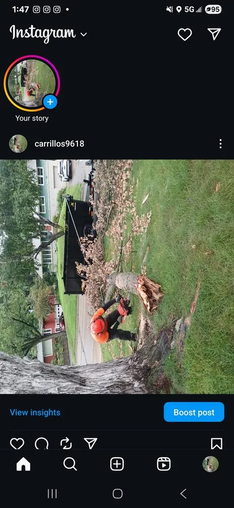 Reliable residential landscaping for year-round maintenance in Brooklyn Center, MN by Carrillos