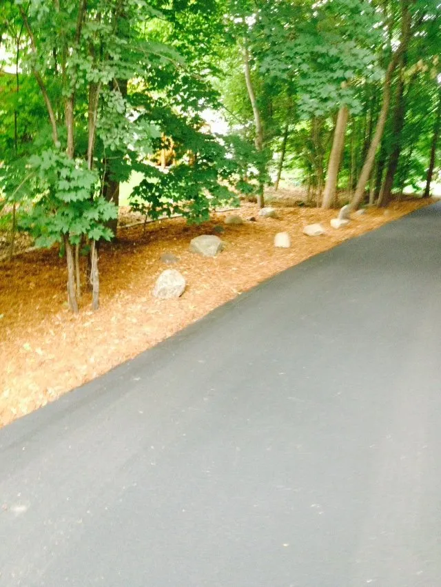 Affordable lawn mowing service for residential properties in Brooklyn Center, MN by Carrillos