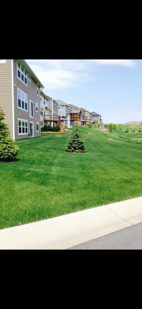 Trusted residential landscaping in Brooklyn Center, MN by Carrillos