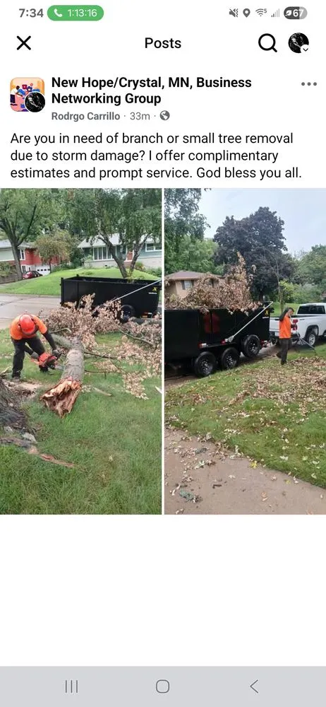 Local landscape installation in Brooklyn Center, MN by Carrillos