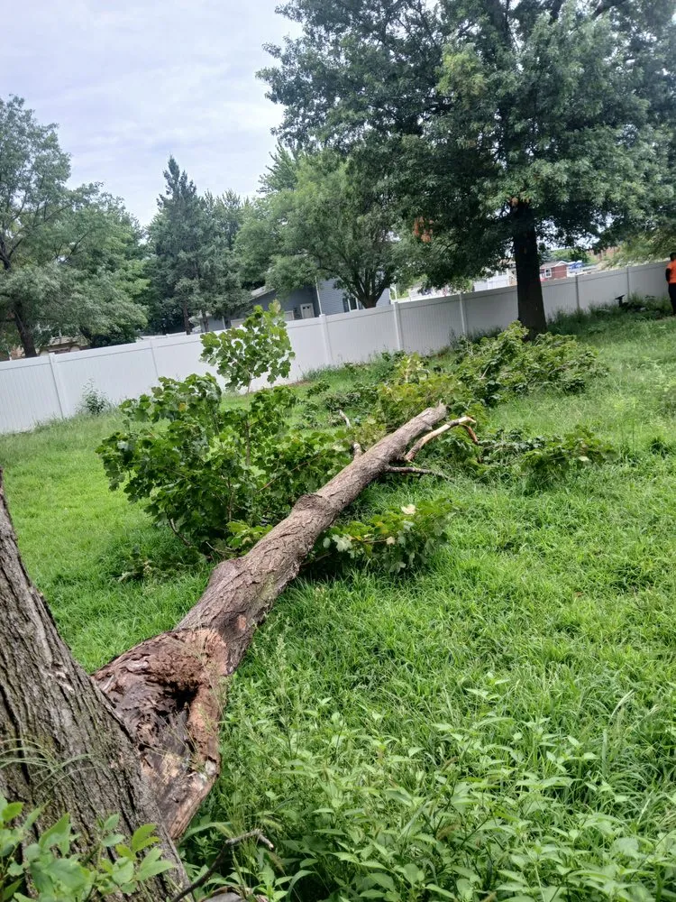 Custom yard maintenance experts serving Brooklyn Center, MN - Carrillos