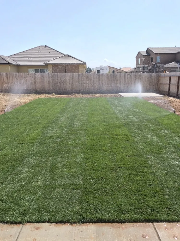 Professional landscaping services near you across Hanford, CA - Carrillos Gardening Service