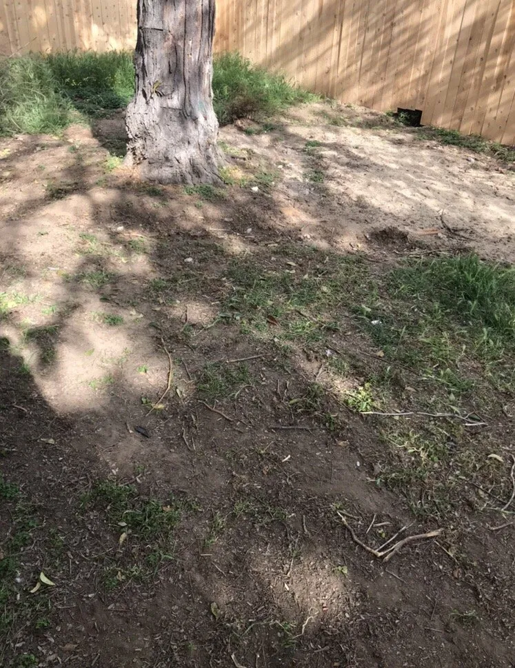 Affordable residential landscaping for outdoor upgrades in Hanford, CA by Carrillos Gardening Service