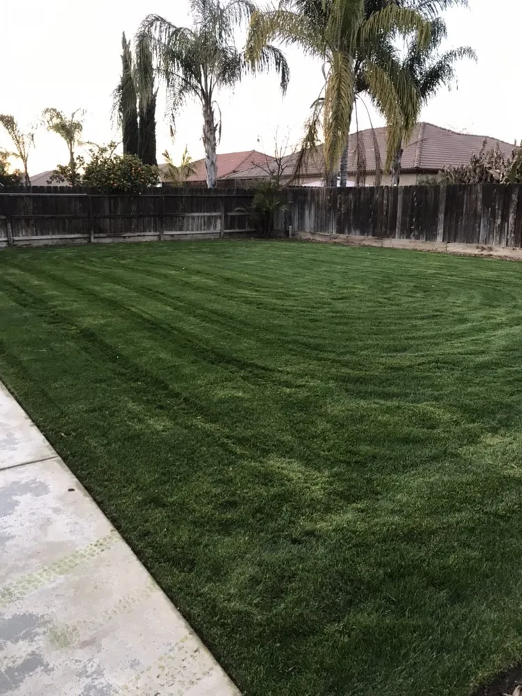 Affordable garden landscaping for outdoor upgrades across Hanford, CA - Carrillos Gardening Service