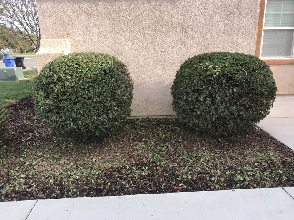 Reliable landscape design for residential properties across Hanford, CA - Carrillos Gardening Service