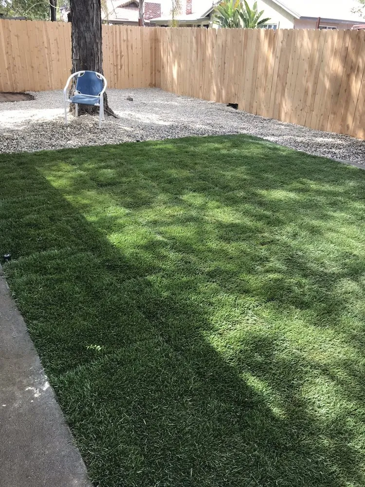 Trusted yard cleanup service in Hanford, CA by Carrillos Gardening Service