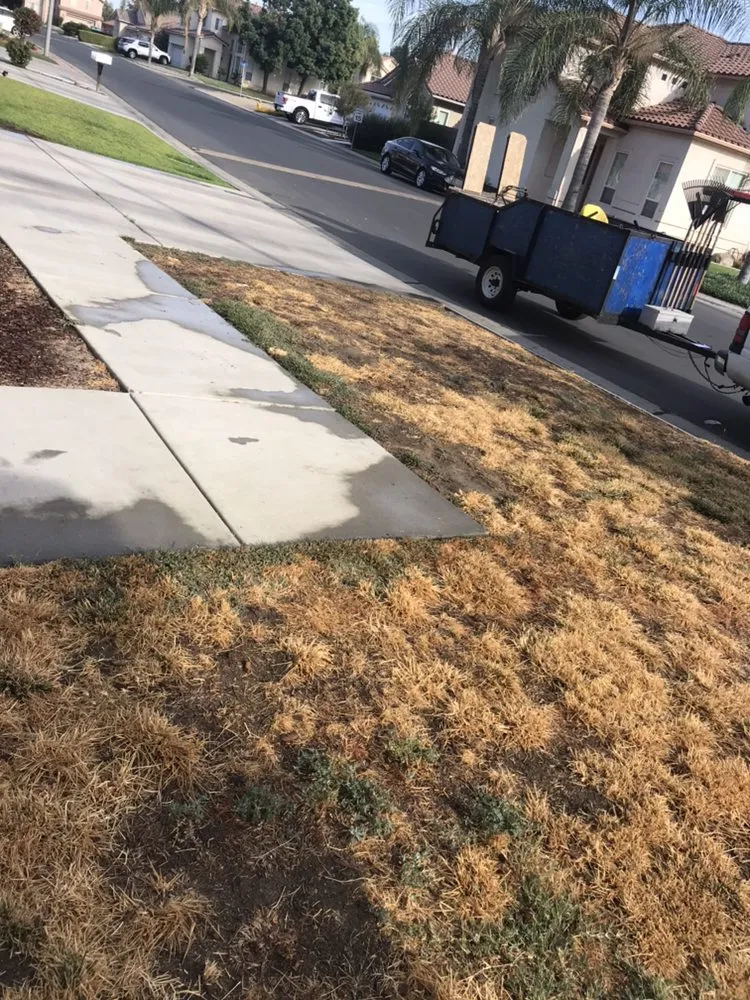 Reliable landscape design in Hanford, CA by Carrillos Gardening Service