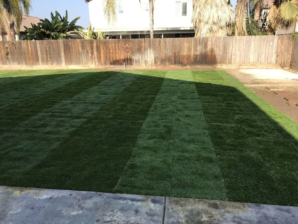Reliable lawn care service for beautiful yards across Hanford, CA - Carrillos Gardening Service