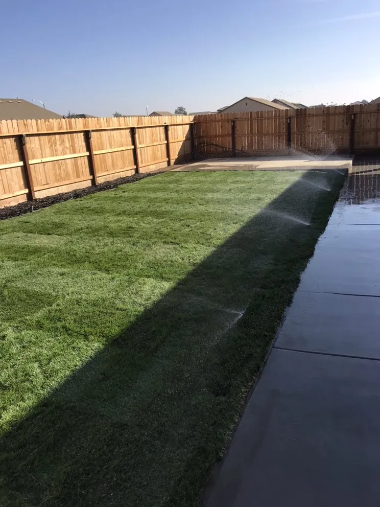 Affordable yard maintenance in Hanford, CA by Carrillos Gardening Service