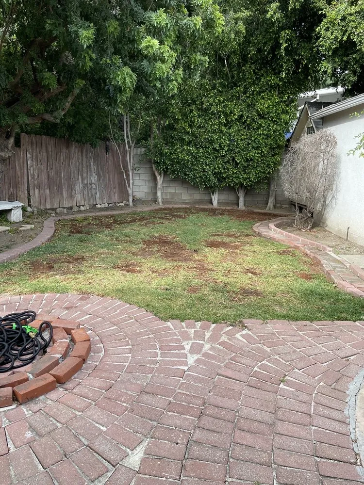 Affordable yard maintenance in Culver City, CA by Carrillos Gardening Services