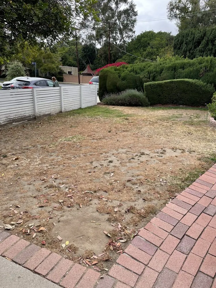 Custom yard maintenance in Culver City, CA - Carrillos Gardening Services