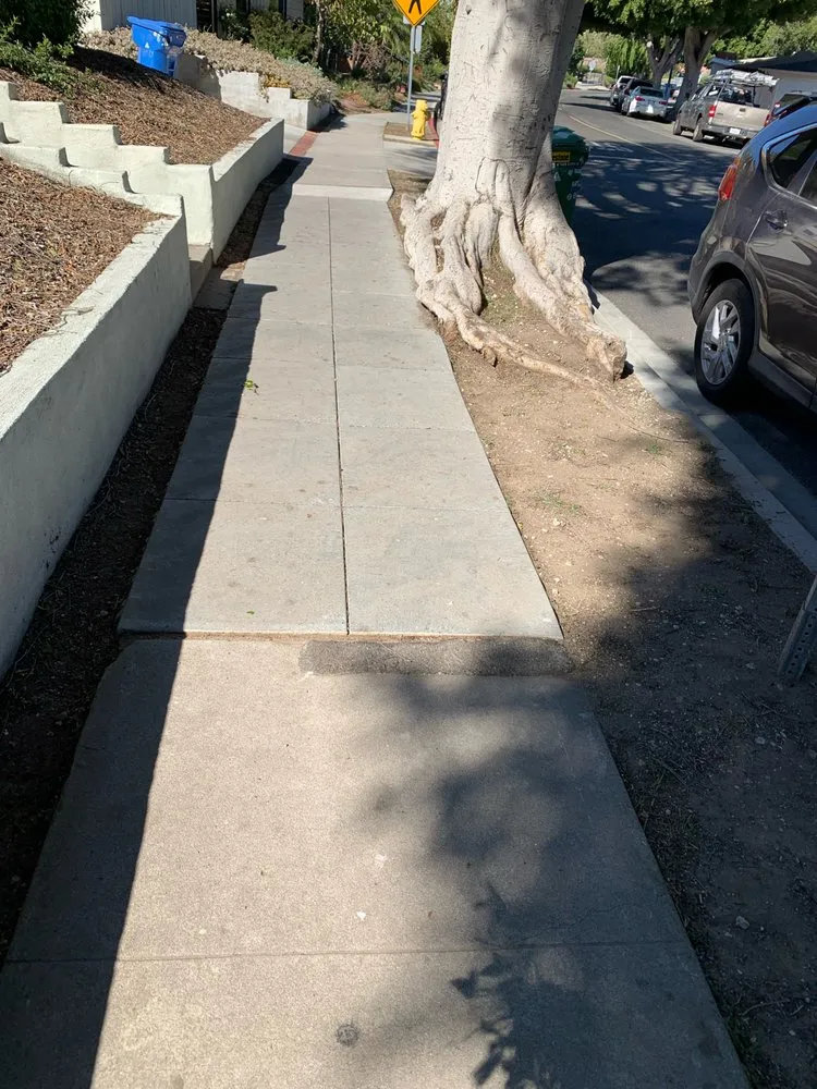 Trusted outdoor landscaping for year-round maintenance in Culver City, CA by Carrillos Gardening Services