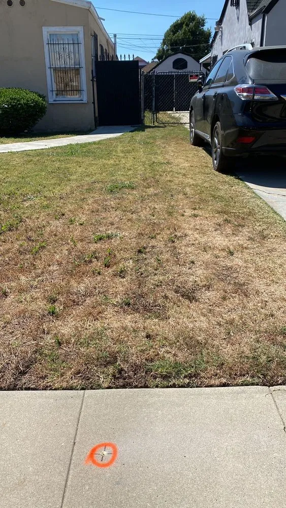 Reliable lawn mowing service in Culver City, CA - Carrillos Gardening Services