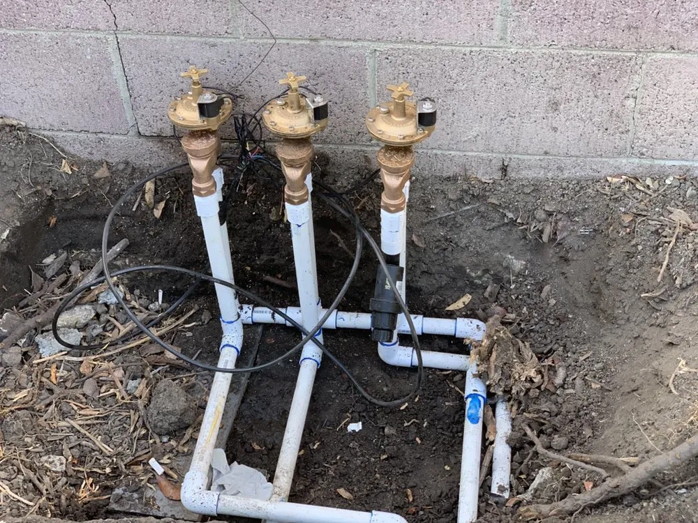 Custom yard cleanup service experts serving Culver City, CA - Carrillos Gardening Services