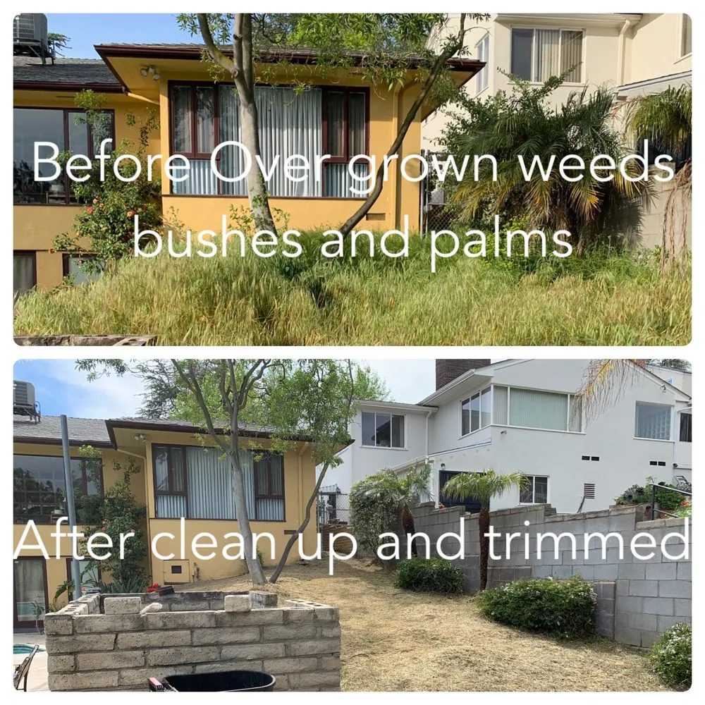 Custom yard maintenance experts serving Culver City, CA - Carrillos Gardening Services