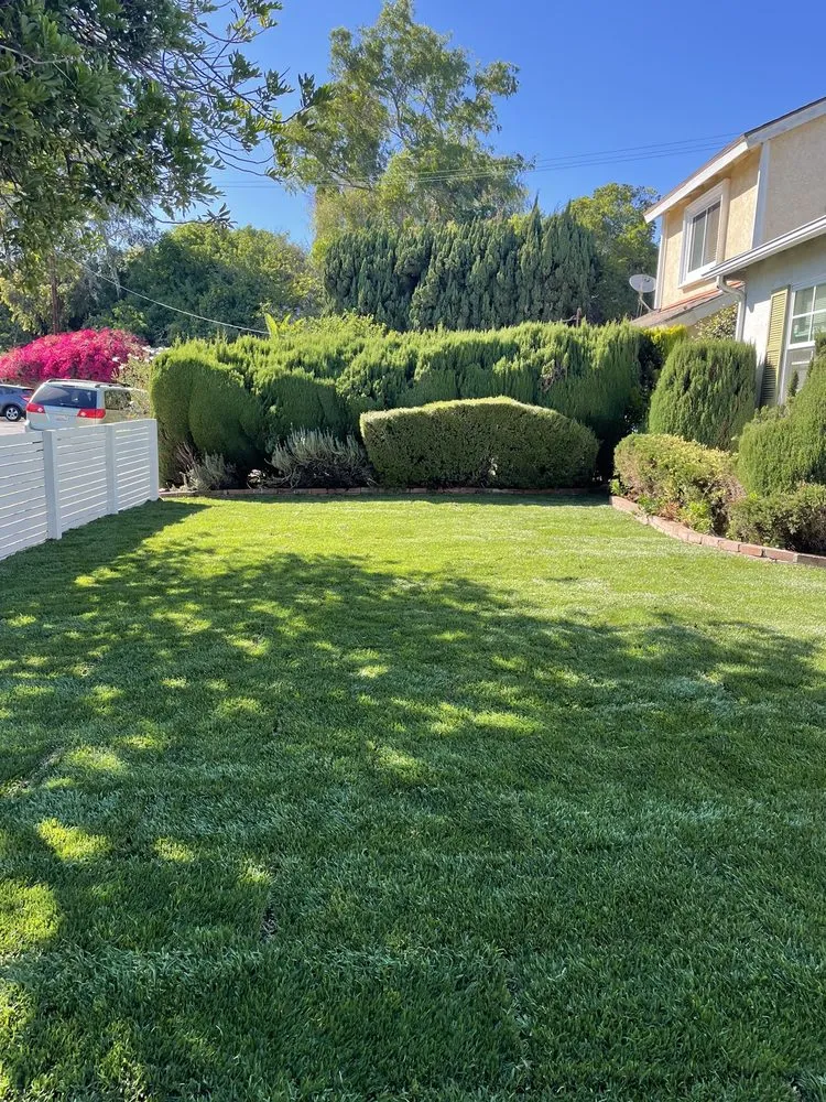 Professional landscape installation near you in Culver City, CA by Carrillos Gardening Services