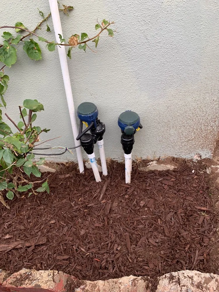 Top-rated lawn mowing service for residential properties across Culver City, CA - Carrillos Gardening Services