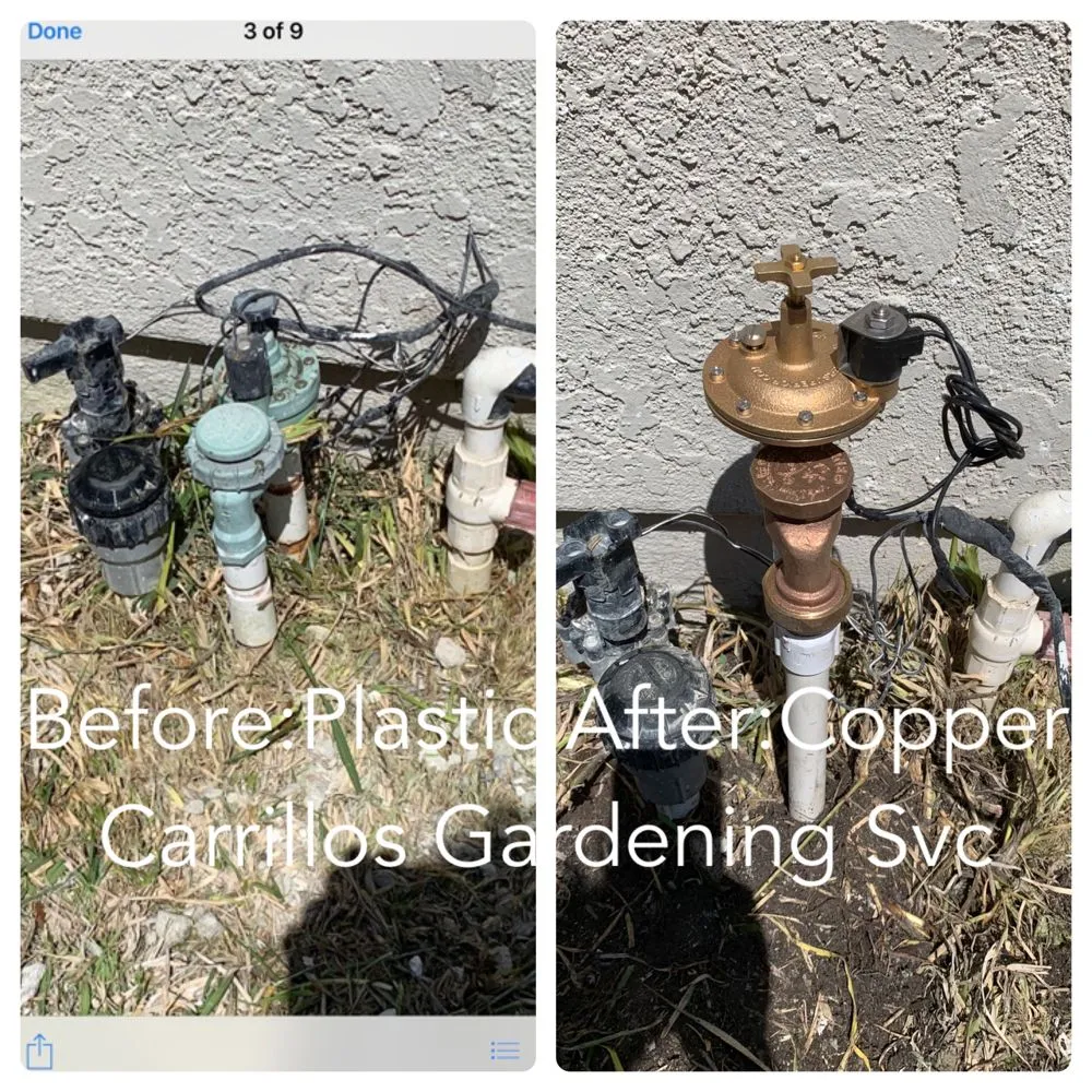 Expert outdoor landscaping experts serving Culver City, CA - Carrillos Gardening Services