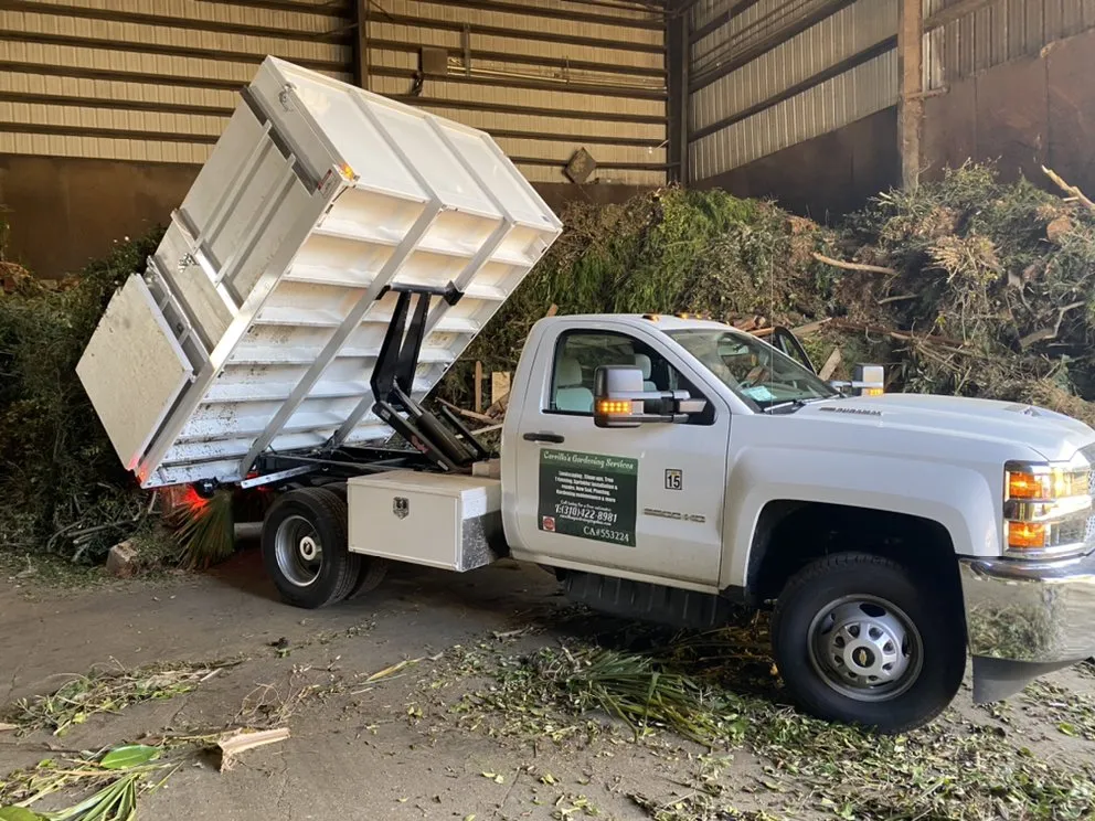 Local lawn care service experts serving Culver City, CA - Carrillos Gardening Services