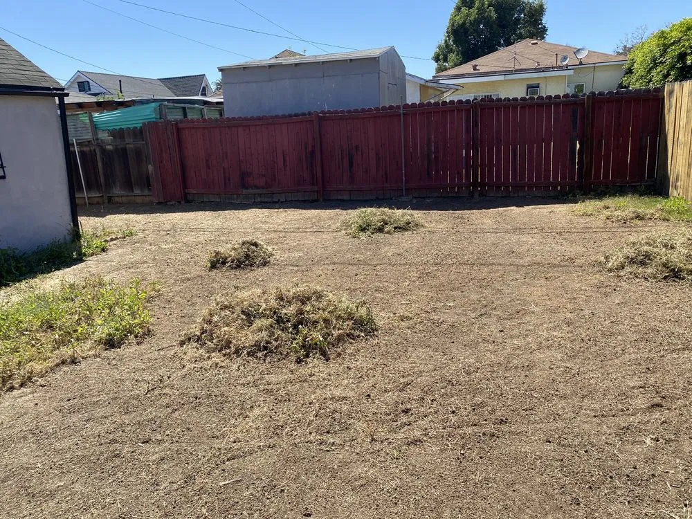 Expert outdoor landscaping in Culver City, CA by Carrillos Gardening Services