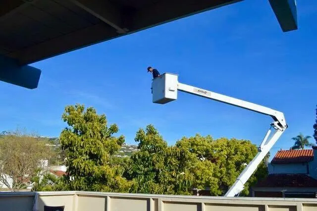 Affordable yard cleanup service in San Clemente, CA - Carrillo's Landscaping & Tree Service