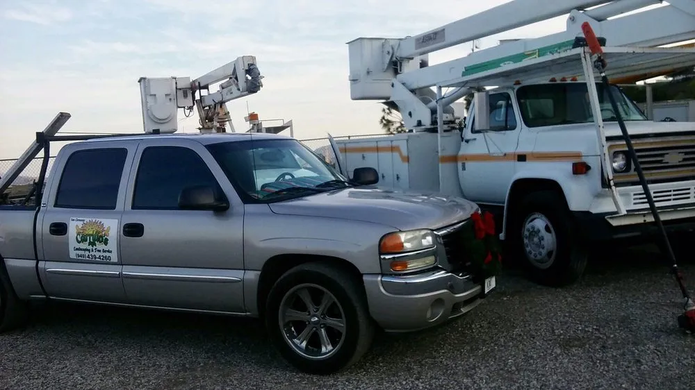 Expert landscaping services in San Clemente, CA - Carrillo's Landscaping & Tree Service