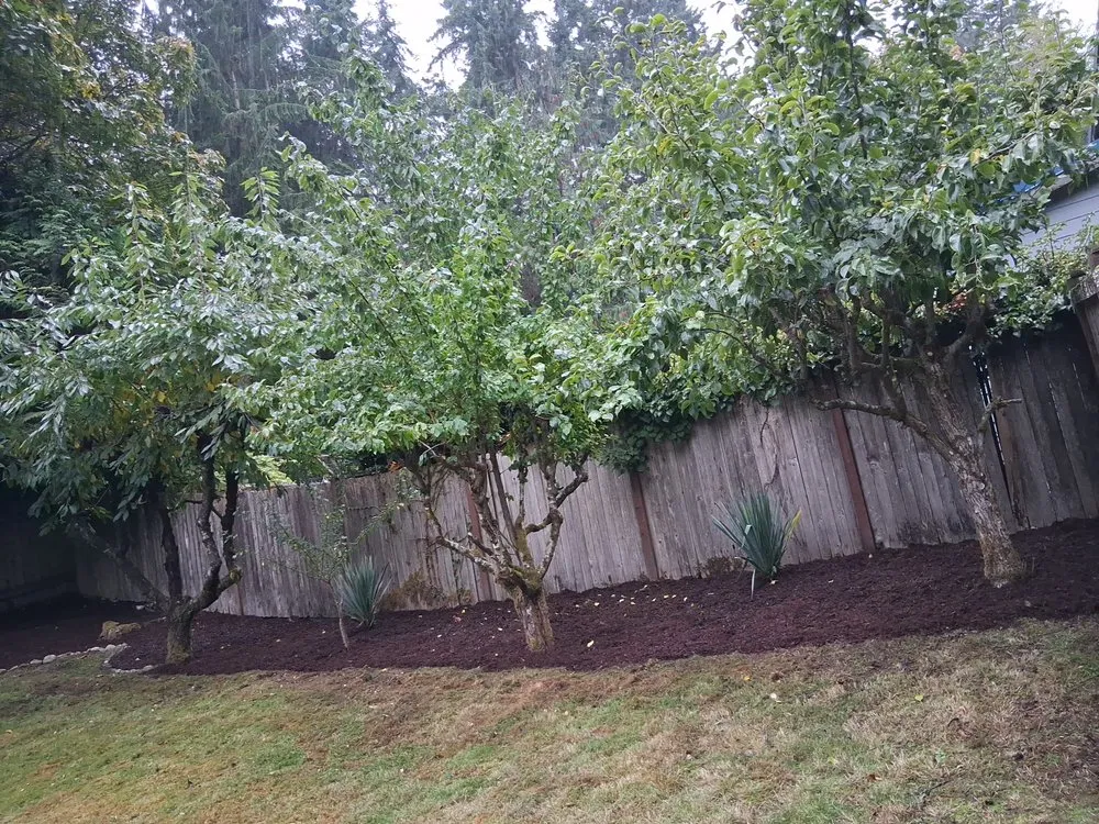 Top-rated yard maintenance experts serving Federal Way, WA - Carrillos Landscaping and Remodel