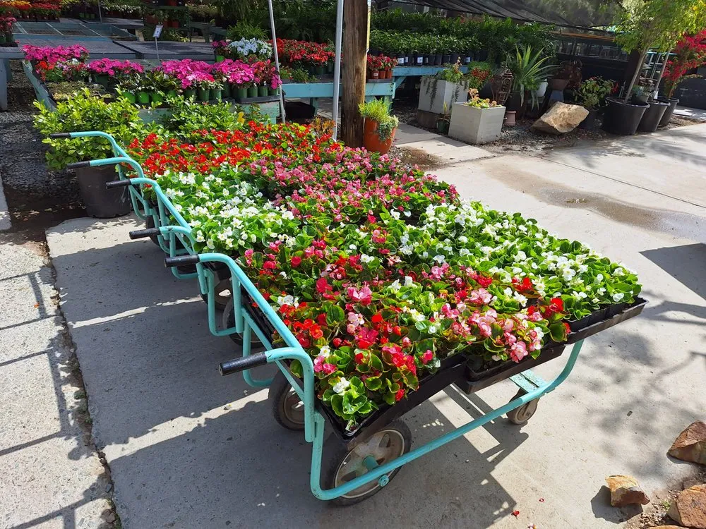 Affordable outdoor landscaping in San Diego, CA - Carrillo's Landscaping