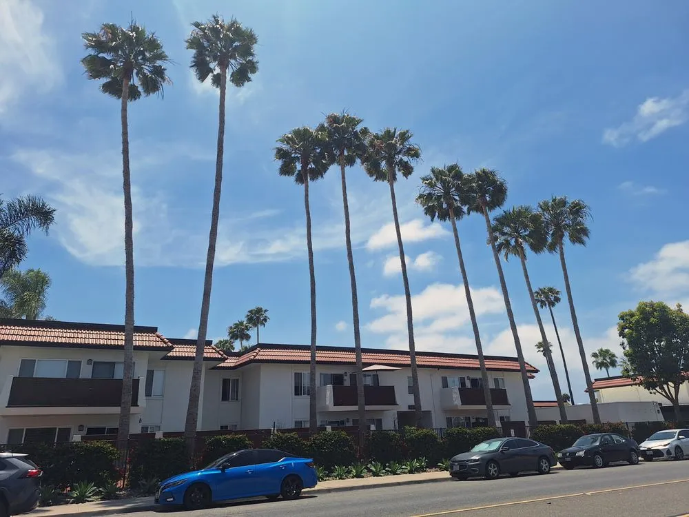 Affordable residential landscaping experts serving San Diego, CA - Carrillo's Landscaping