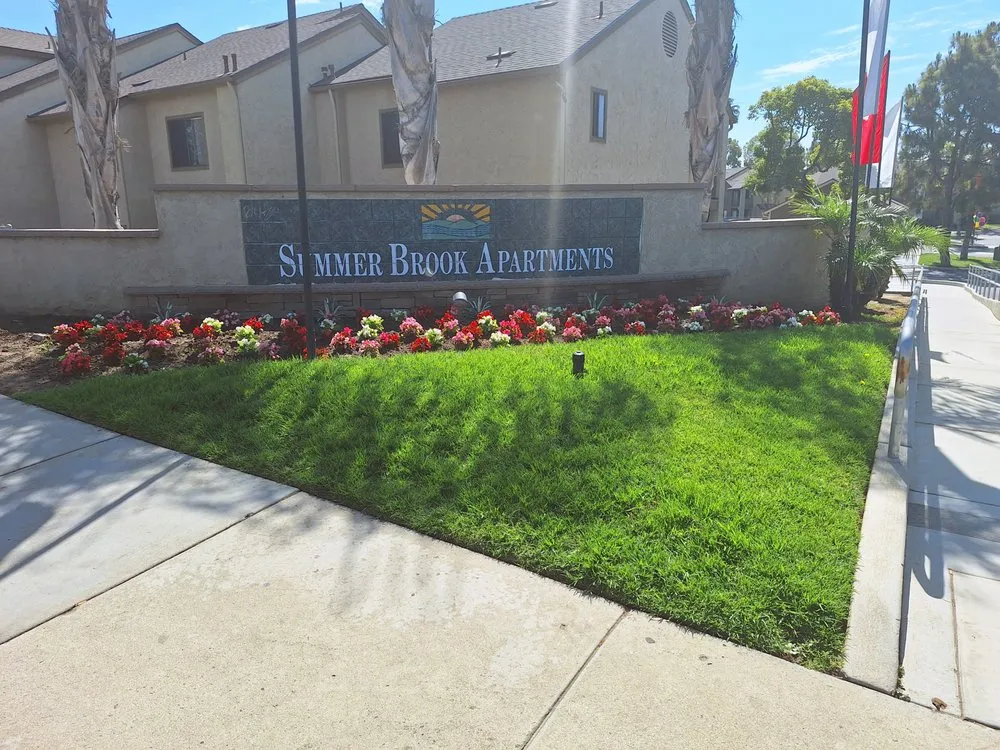 Custom yard maintenance in San Diego, CA - Carrillo's Landscaping