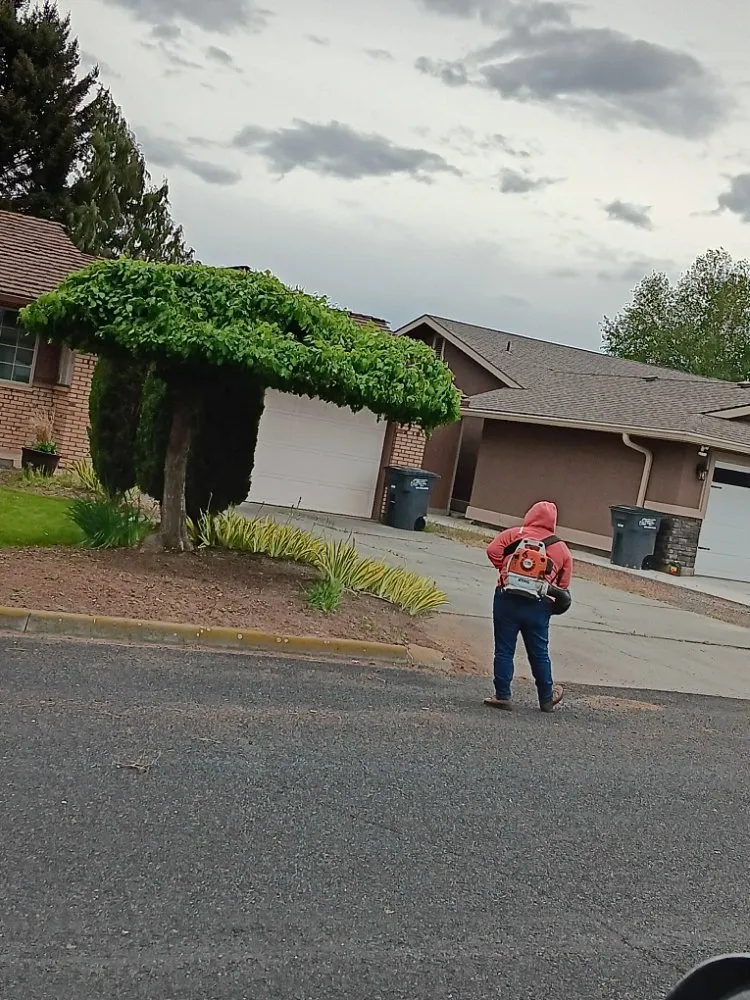 Reliable lawn mowing service for homes in Othello, WA by Carrillo's Landscaping Services