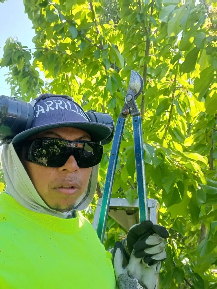 Top-rated outdoor landscaping experts serving Othello, WA - Carrillo's Landscaping Services