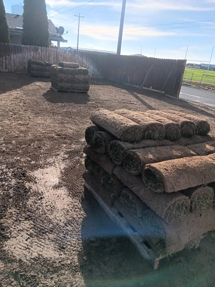 Custom yard maintenance in Othello, WA - Carrillo's Landscaping Services