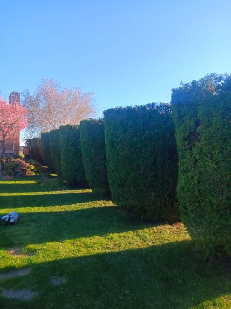 Local lawn mowing service in Othello, WA - Carrillo's Landscaping Services