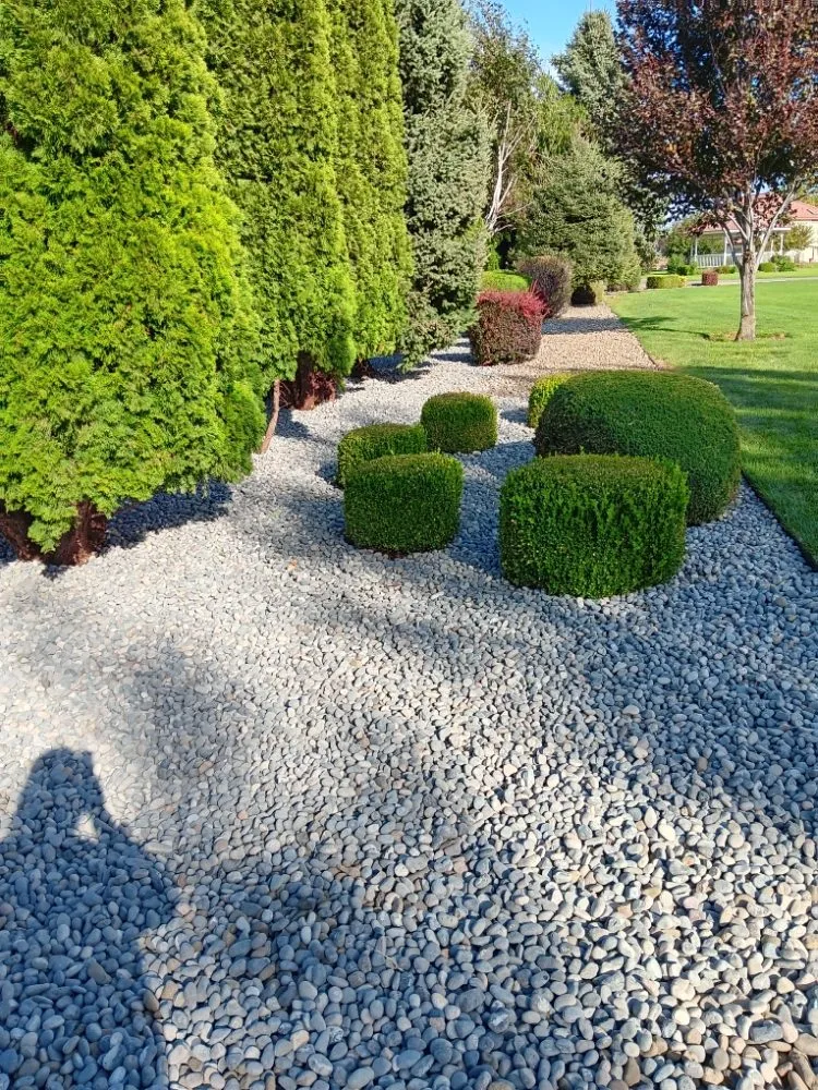 Affordable yard maintenance for year-round maintenance in Othello, WA by Carrillo's Landscaping Services