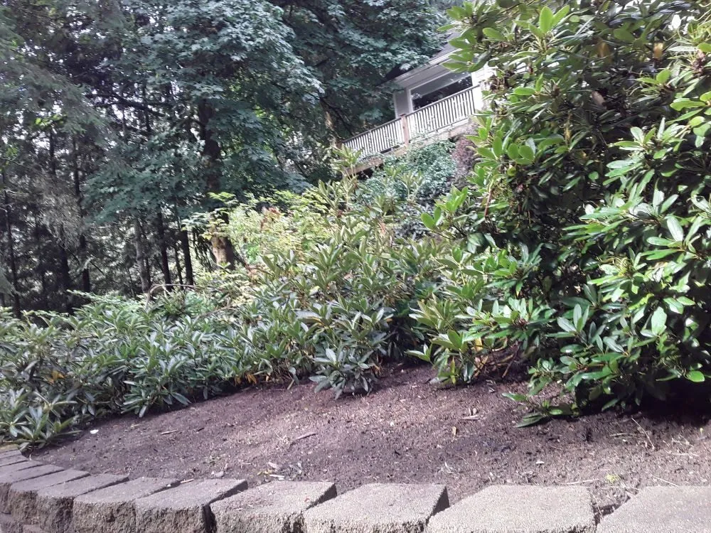 Trusted lawn mowing service in Shelton, WA by Carrillo's Landscaping