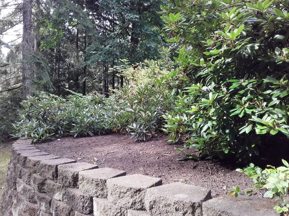 Custom landscape design for year-round maintenance in Shelton, WA by Carrillo's Landscaping