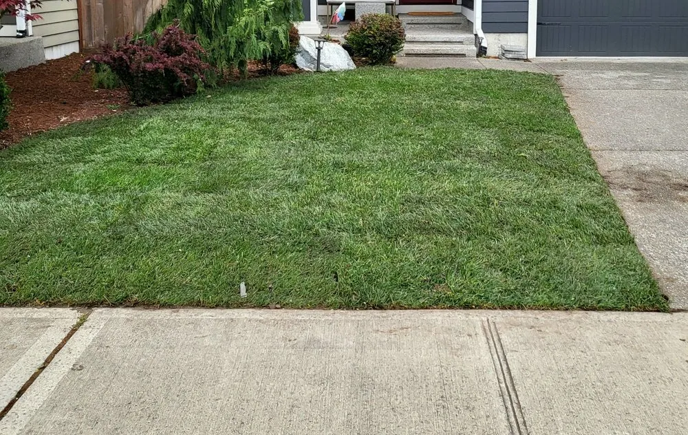 Reliable landscape installation in Shelton, WA - Carrillo's Landscaping