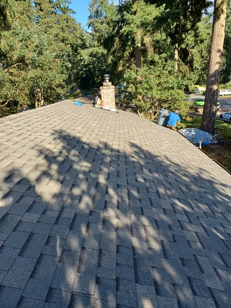 Reliable landscape installation for year-round maintenance in Shelton, WA by Carrillo's Landscaping