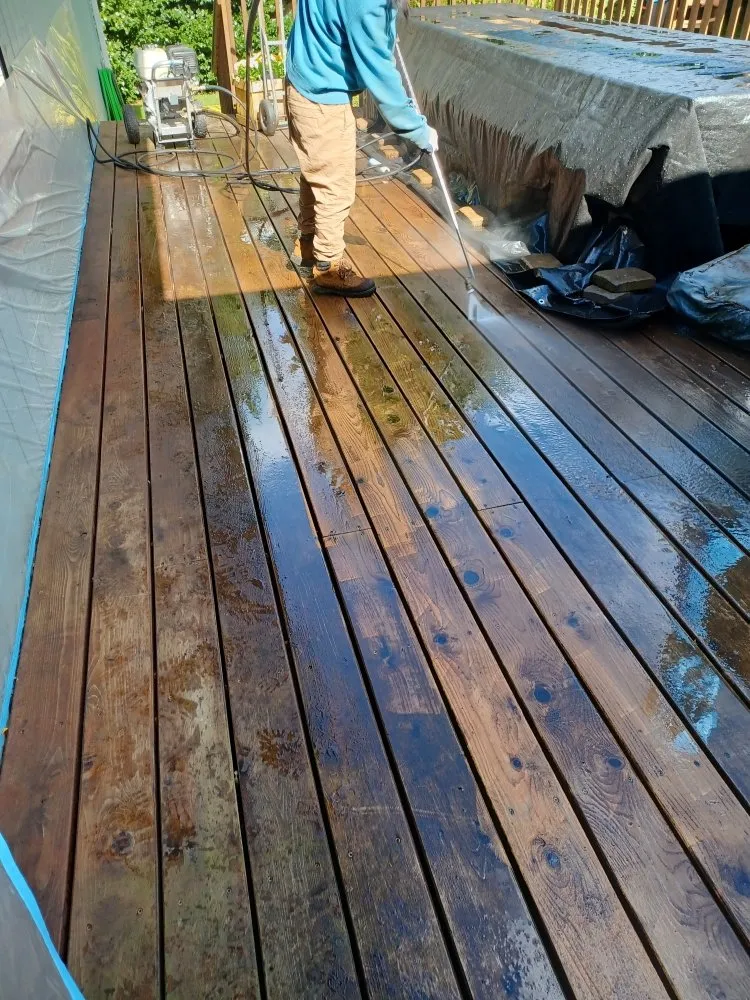 Reliable yard maintenance experts serving Shelton, WA - Carrillo's Landscaping