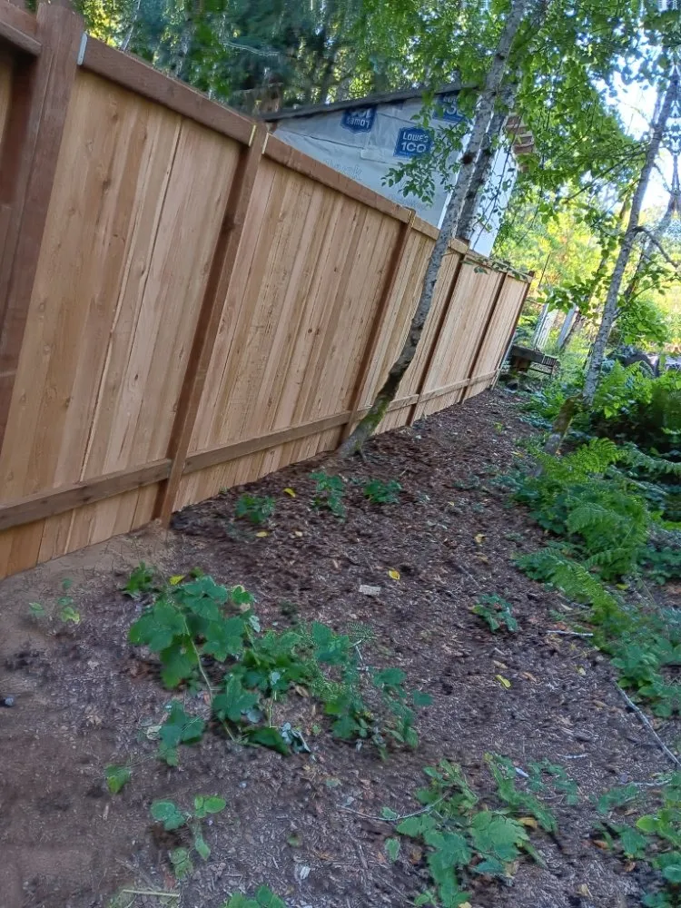 Expert landscaping services experts serving Shelton, WA - Carrillo's Landscaping