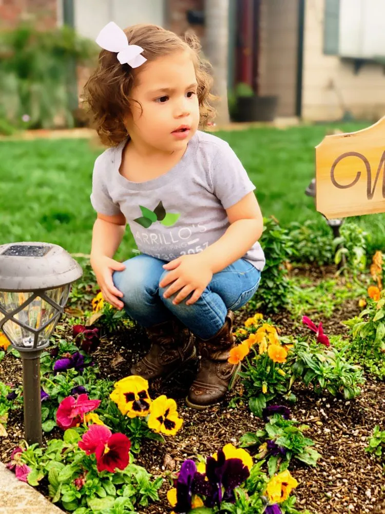 Trusted landscape installation in Visalia, CA - Carrillo's